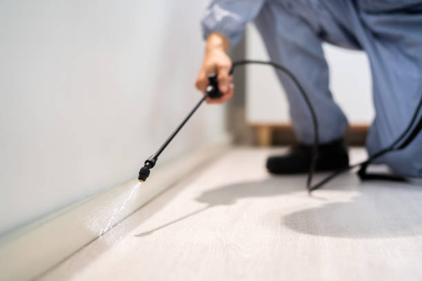 Licensed Pest Control service in Church Hill, TN - Nex Pest Control