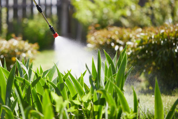 24/7 Emergency Mosquito Control experts in Church Hill, TN
