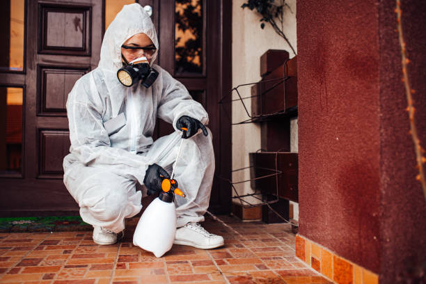 Reliable Mosquito Control contractor in Church Hill, TN by Nex Pest Control