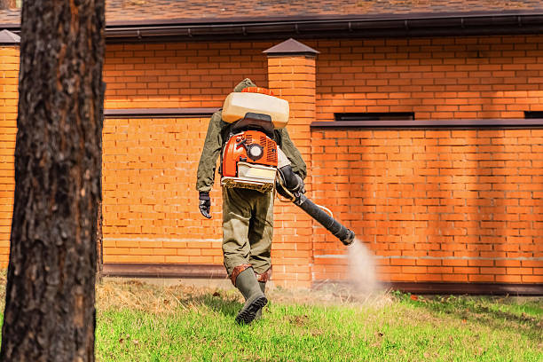 Trusted Rodent Control service in Church Hill, TN - Nex Pest Control